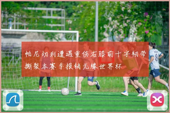 帕尼切利遭遇重伤右膝前十字韧带撕裂本赛季报销无缘世界杯
